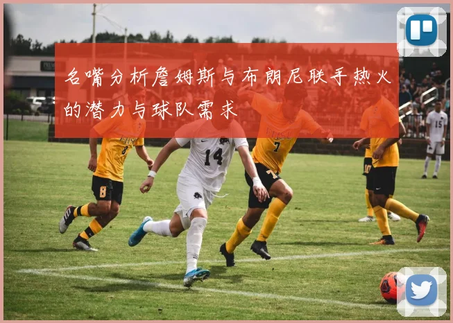 名嘴分析詹姆斯与布朗尼联手热火的潜力与球队需求