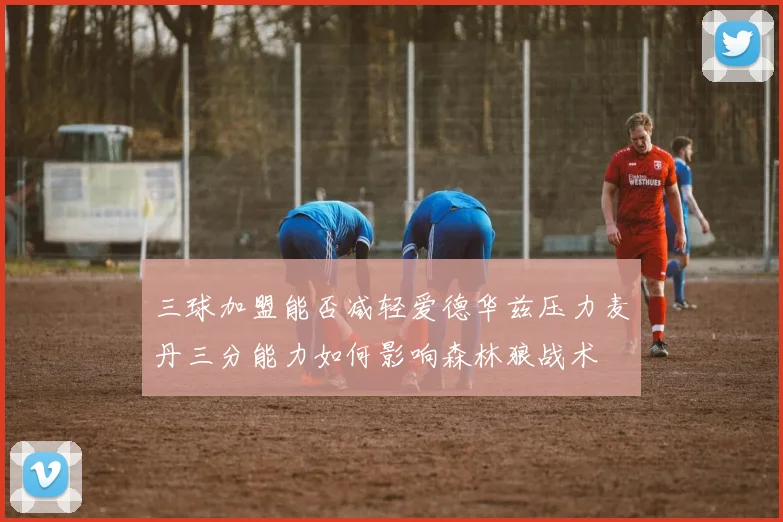三球加盟能否减轻爱德华兹压力麦丹三分能力如何影响森林狼战术